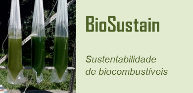Biosistain | Sustentabilidade de biocombustíveis