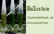 Biosustain | Sustentabilidade de biocombustíveis