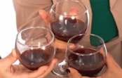 Aprovado novo regime de apoio à promoção do vinho e produtos vínicos